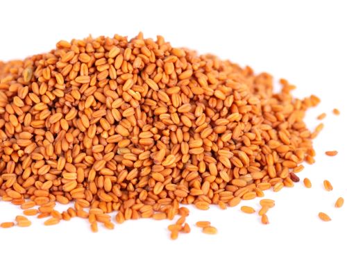 semillas de camelina