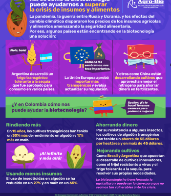 Transgénicos para reducir importaciones
