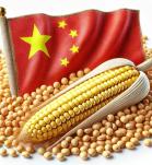 Cultivos transgénicos en China