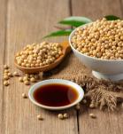 cultivos transgénicos, transgénicos, agro-bio