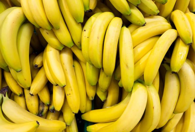 Banano cavendish