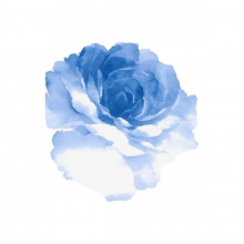 Rosa azul